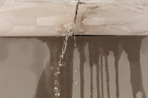Professional Sewage Cleanup technician working in Ithaca, NE